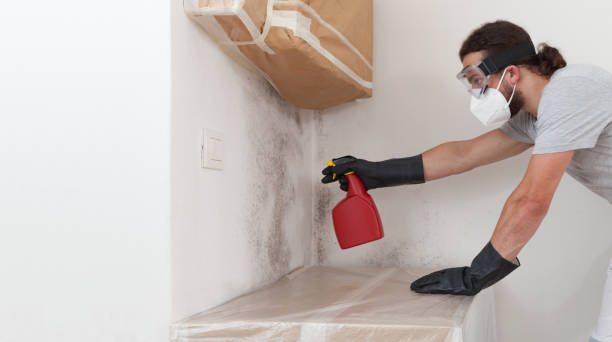 Professional Commercial Mold Remediation technician working in Woodcliff Lake, NJ