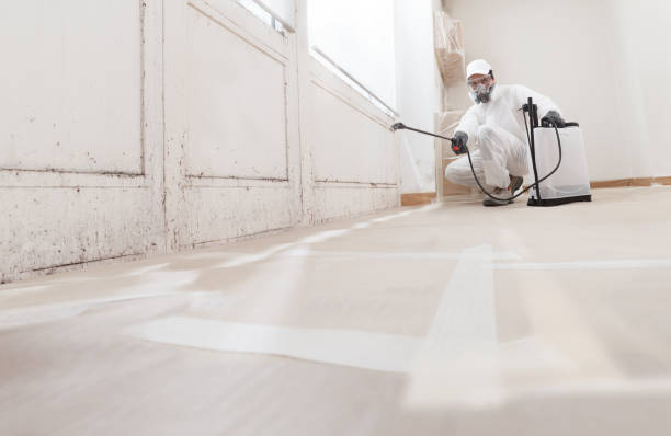 24/7 Emergency Commercial Mold Remediation experts in Woodcliff Lake, NJ